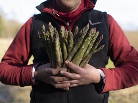 Waitrose asparagus