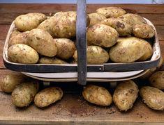 Potato event set for 'record number' of visitors