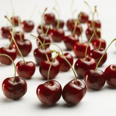 Rain decimates British cherry crop