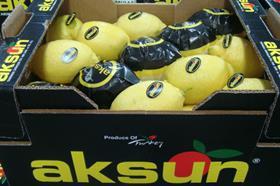 Aksun lemon