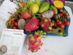Dragon fruit theatre has done the business for BFS