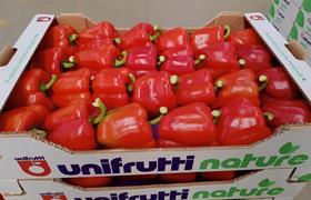 IT ES CREDIT Unifrutti TAGS Dimfruit peppers Almeria