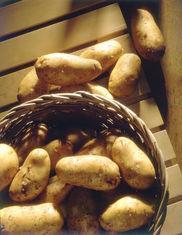 Irish investigate potato sales drop