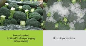 Broccoli Xtend iceless packaging comparison