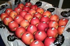 Chinese Fuji exports delayed by one month