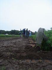 Potato industry delegates at the event