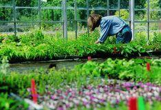 Comprehensive labour study for UK industry