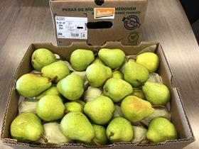 Global Fruit Point Demeter pears