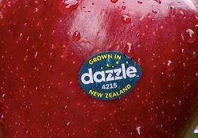 Dazzle