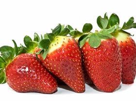 Beekers Berries strawberries