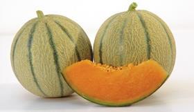 Canteloupe Melon