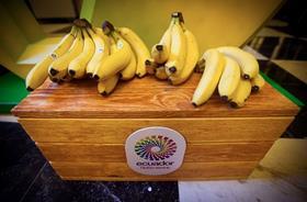 EC bananas Russia promotion