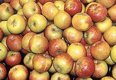 HDRA has planned a range of events for this year's Apple Day