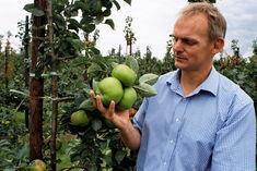 Adrian Scripps upbeat for top fruit season