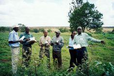 A PIP training workshop