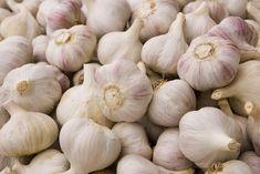 Garlic prices remain high
