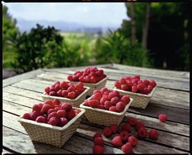 SanLucar raspberries