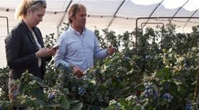 Tesco Planasa blueberry visit 2019