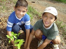 Del Monte tree planting Costa Rica