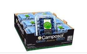 Camposol new blueberry packs