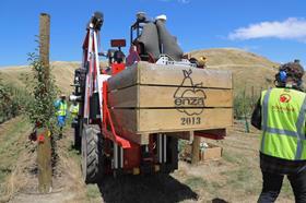 T&G robot apple picker