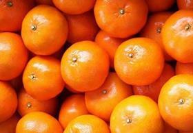 Peruvian mandarins