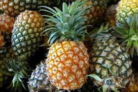 pineapples