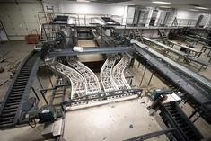 Stemilt upgrades Wenatchee pear facilities