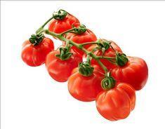 Tomkin tomatoes