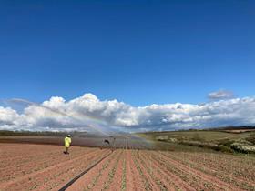 Puffin Produce Leeks for the Innovate UK trial