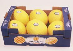 Nolem melons one week early to UK