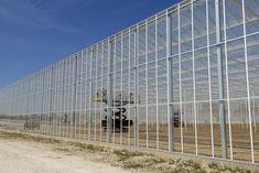 The tomato greenhouse operated by Red Star Trading