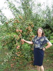 Carmella Meyer in one of Boxford’s 65-year old orchards