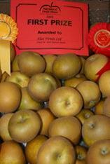 The award-winning Egremont Russet apples
