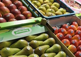 Belgium pears apples