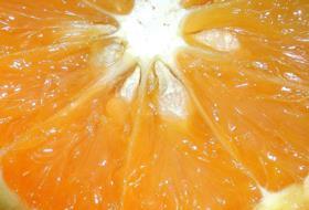 GEN orange closeup