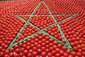 Morocco tomatoes