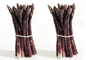 Purple asparagus