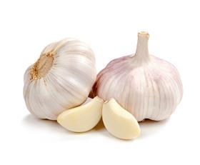 garlic pic for news