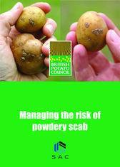 New services to help potato growers