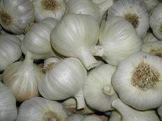 Garlic suffers from oversupply