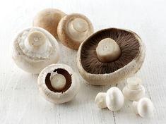 Mushrooms - the new superfood