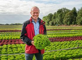 Johan Schut breeding manager lettuce Rijk Zwaan