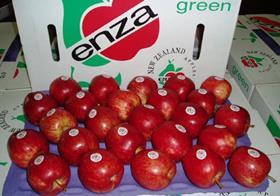 Enzafruit Enza NZ Royal Gala apples