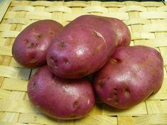 Performing well: Rudolph potatoes