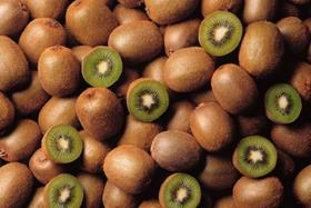 Chilean Kiwifruit