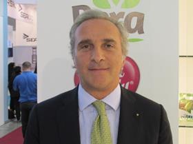 IT Marco Salvi