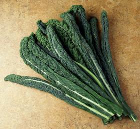 AU Tuscan cabbage kale