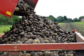 Red Tractor potatoes Ben Pike image