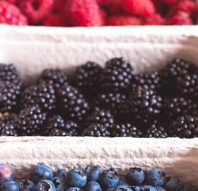 Markus Spiske Unsplash berries